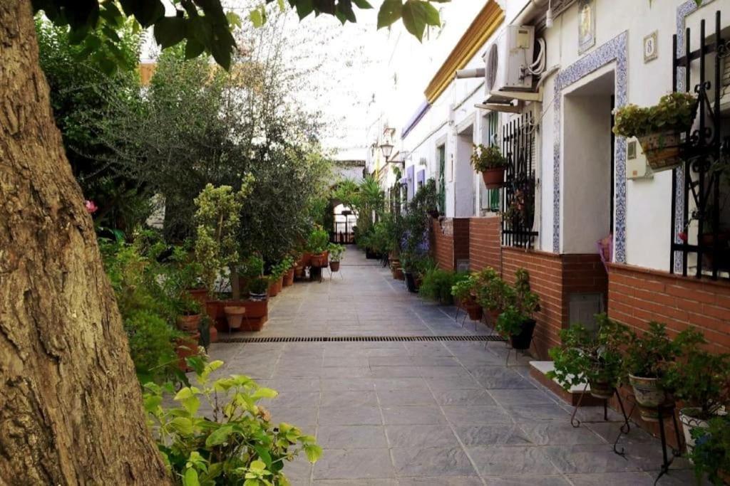 Tipico Y Pintoresco Patio De Vecinos, Con Encanto Sevilla Exteriér fotografie